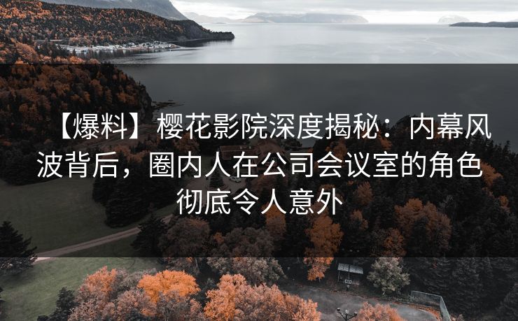 【爆料】樱花影院深度揭秘：内幕风波背后，圈内人在公司会议室的角色彻底令人意外